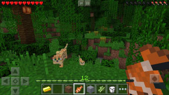 Image 4 for Minecraft