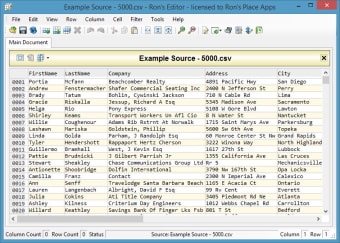 Image 11 for Ron's Editor