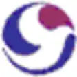 Icon of program: Always On Top