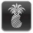 Icon of program: redsn0w
