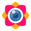 Icon of program: Camera Filter Editor