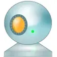 Icon of program: Webcam Surveyor